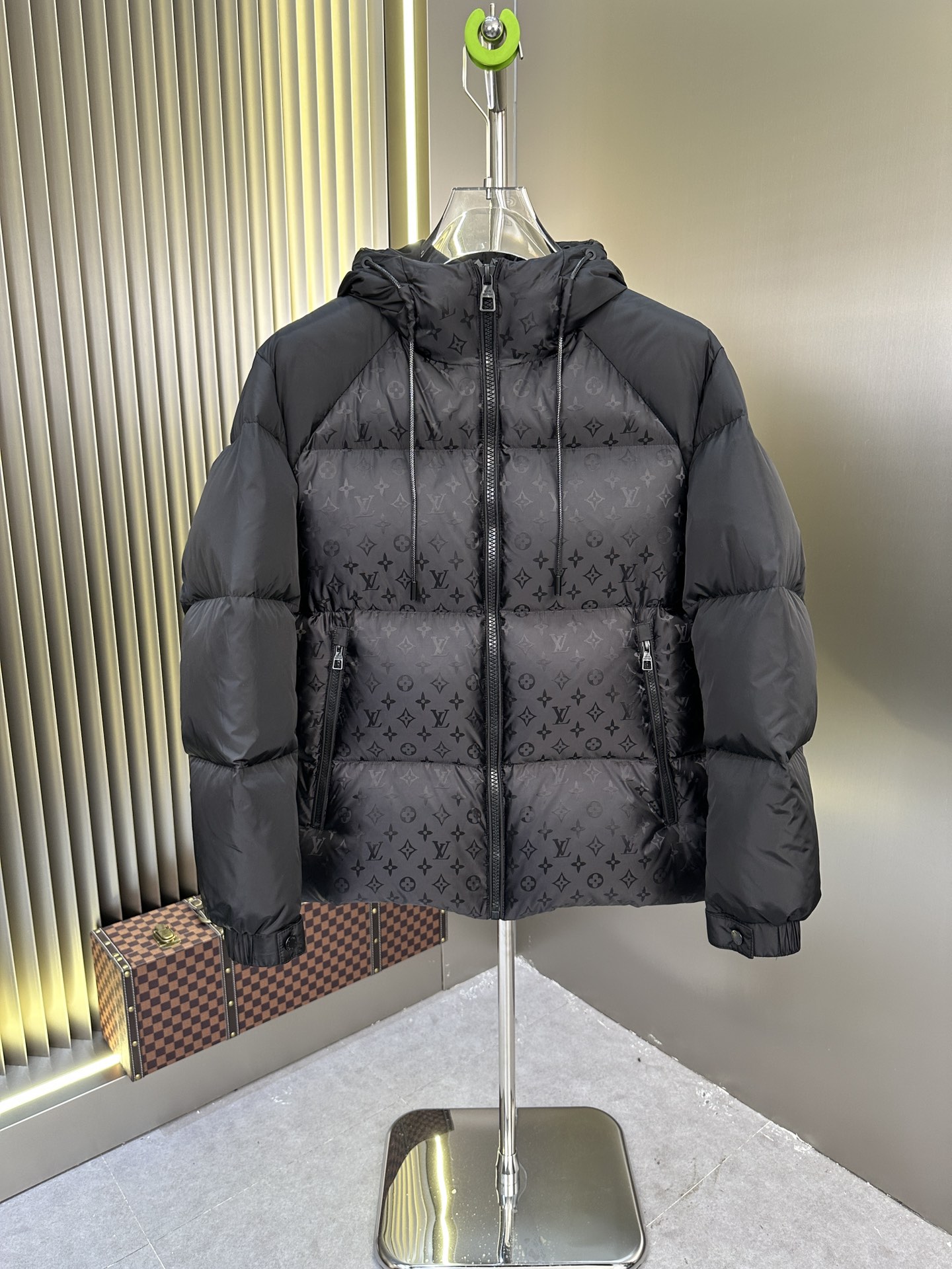 Louis Vuitton Down Jackets